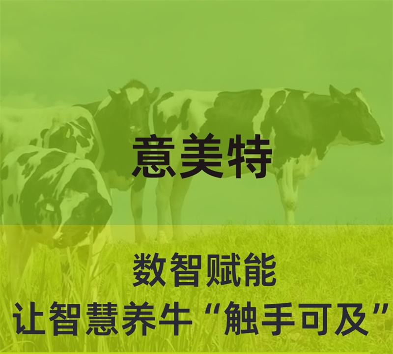 數(shù)智賦能，意美特讓智慧養(yǎng)牛“觸手可及”